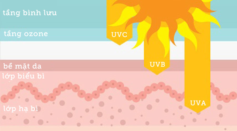 Mỗi loại tia UV sẽ có các mức tác động lên cơ thể con người khác nhau