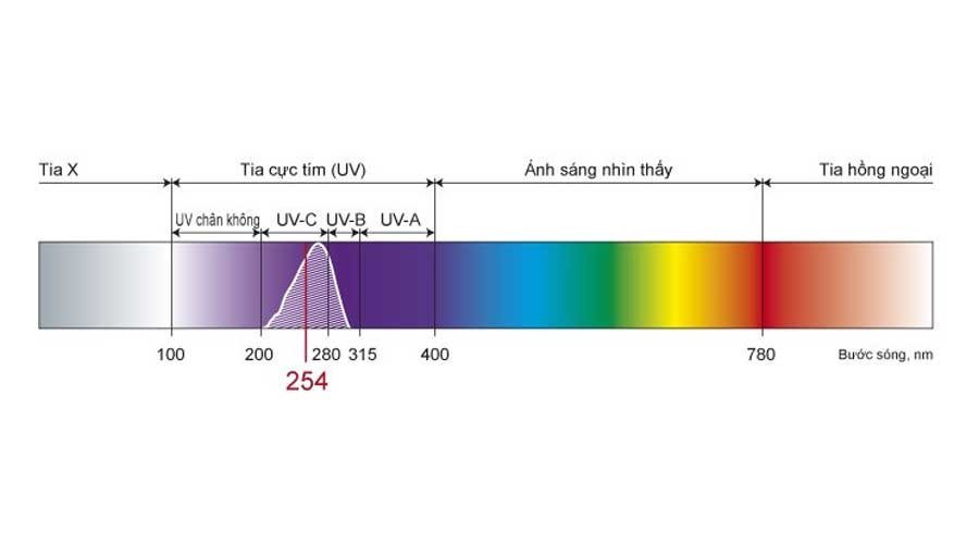 Tia UV từ ánh nắng mặt trời là sóng điện từ có bước sóng ngắn hơn bước sóng của ánh sáng nhìn thấy được và dài hơn bước sóng của tia X